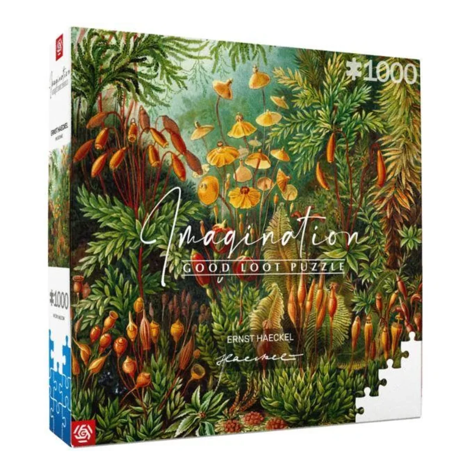 Пазл Imagination: Ernst Haeckel Muscinae 1000 ел., 5908305239642 UA