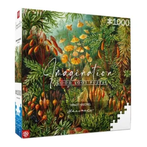Пазл Imagination: Ernst Haeckel Muscinae 1000 ел., 5908305239642 UA