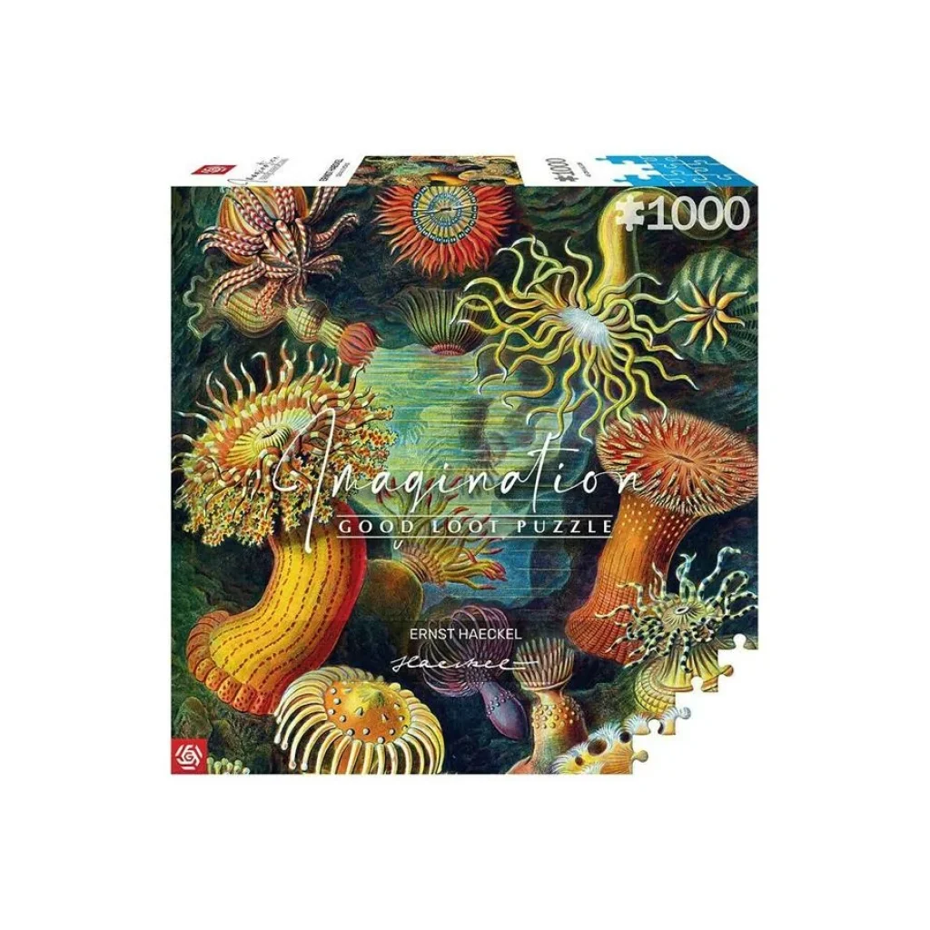 Пазл Imagination: Ernst Haeckel: Sea Anemones 1000 ел., 5908305244943 UA
