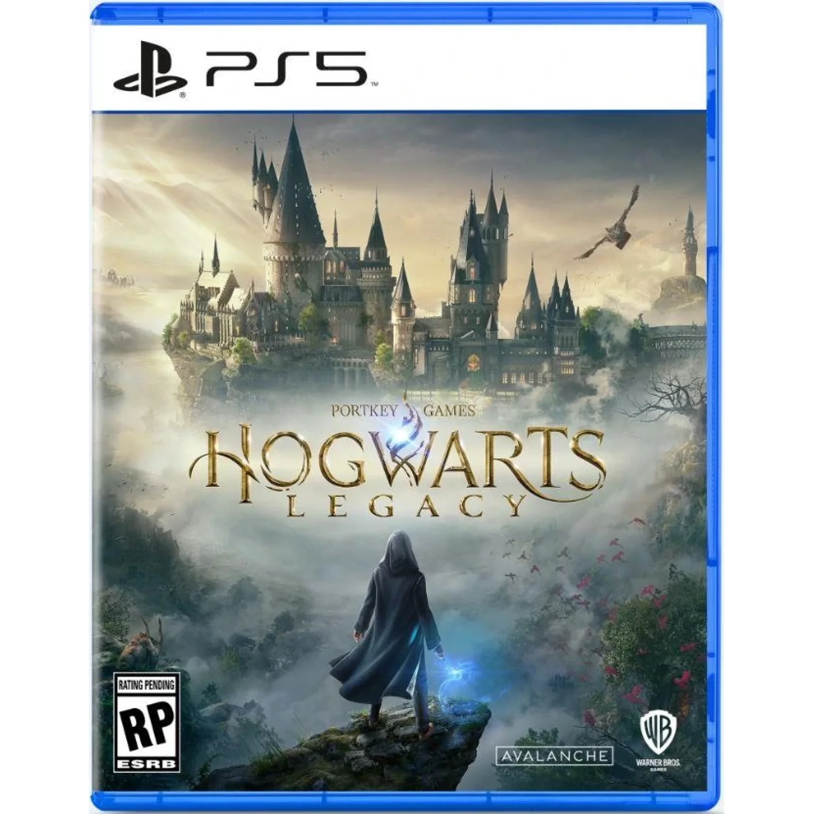 Гра консольна PS5 Hogwarts Legacy, BD диск, 5051895413425 UA