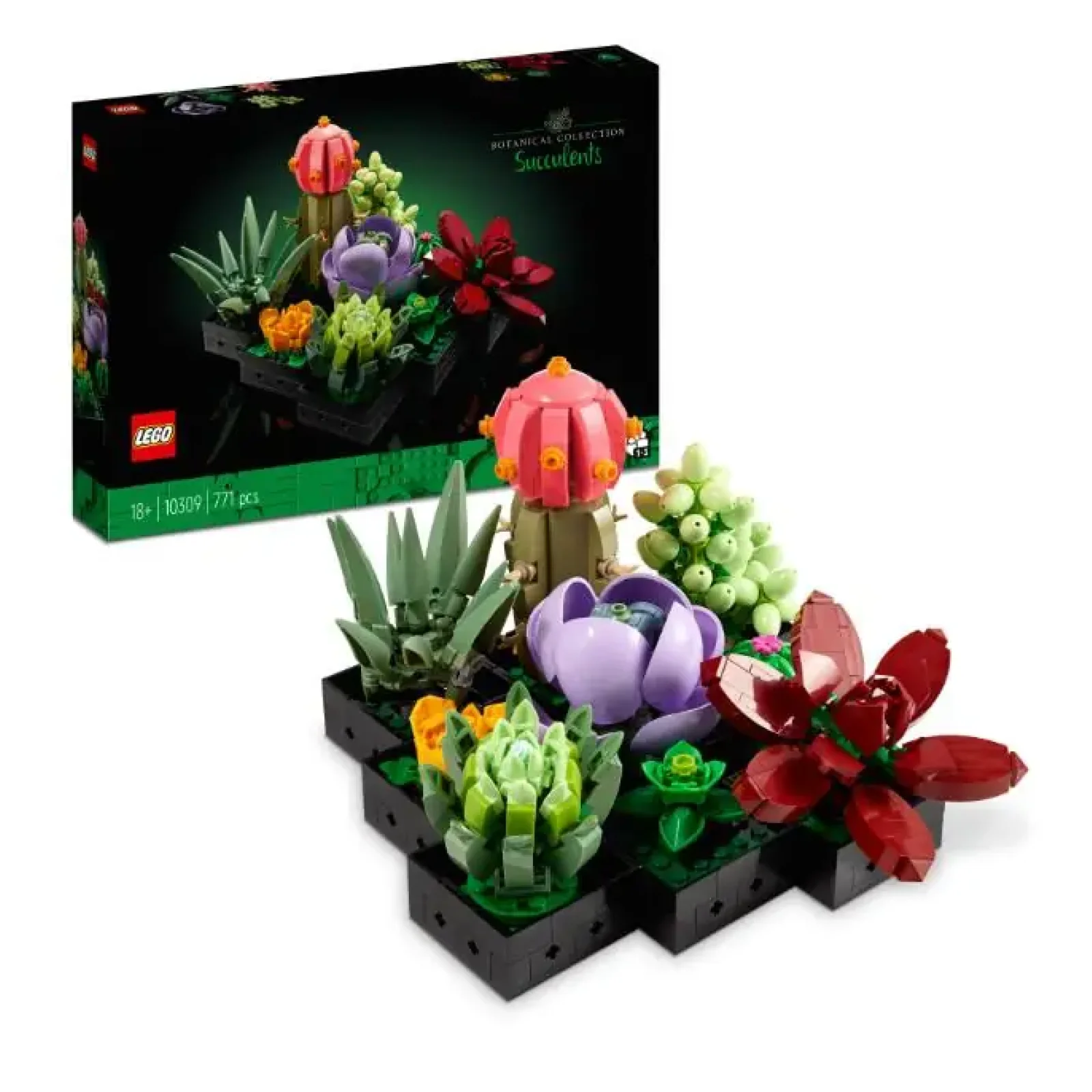 Конструктор LEGO Botanicals Сукуленти (10309) UA