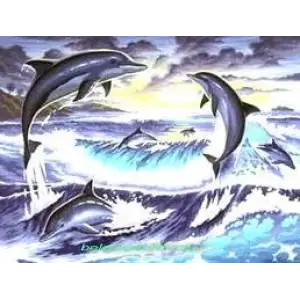 Набір для творчості Sequin Art PAINTING BY NUMBERS SENIOR Дельфіни, SA0563 UA