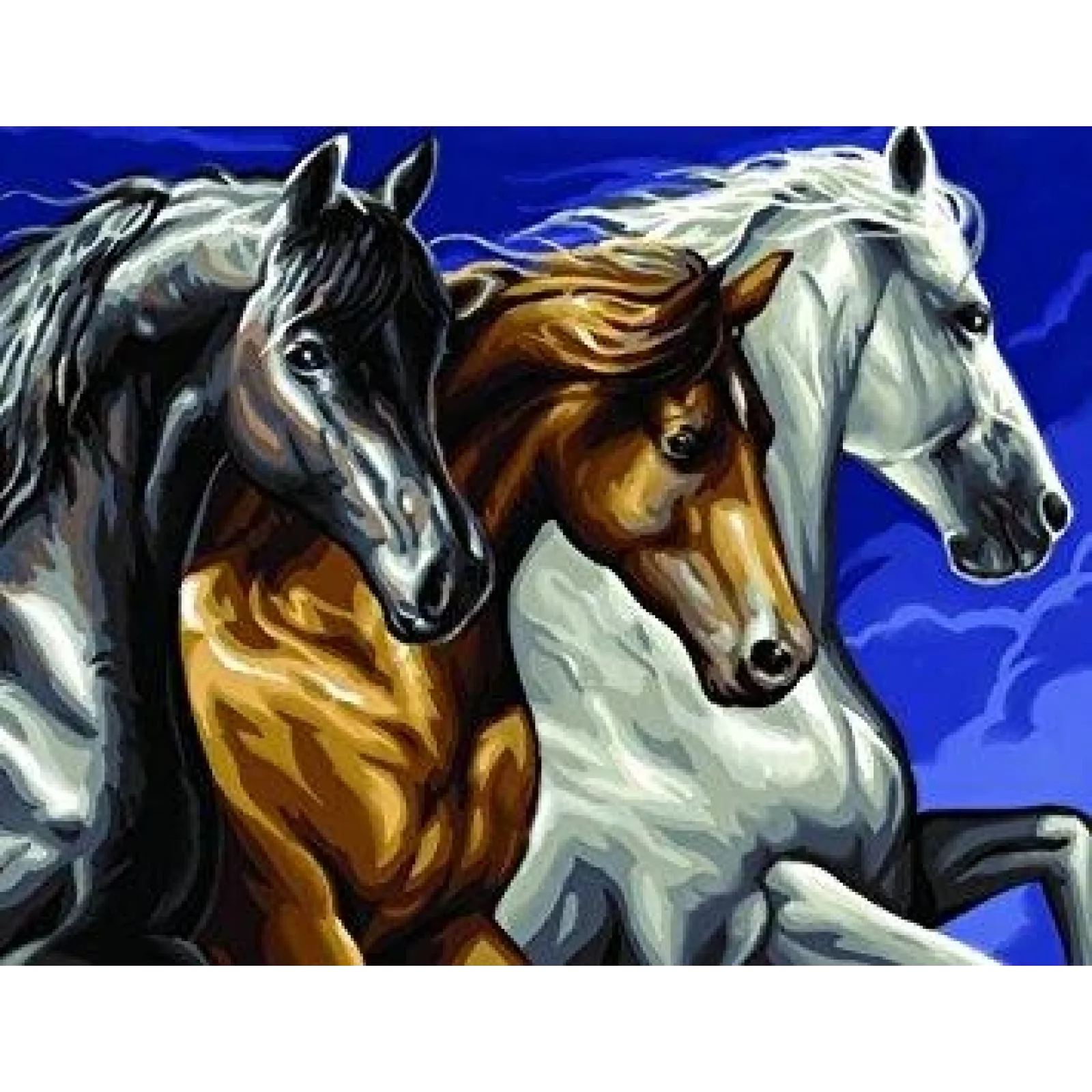 Набір для творчості Sequin Art PAINTING BY NUMBERS SENIOR Дикі коні SA1040 UA