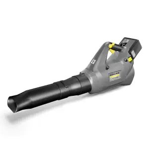 Воздуходув садовый Karcher LB 930/36 Bp (1.042-507.0)