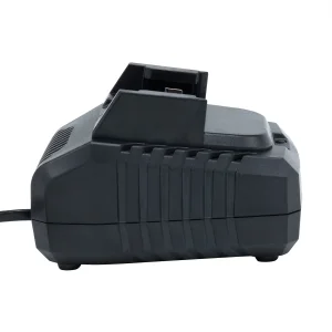 Зарядний пристрій Procraft Charger20/1 (Charger20_1) UA