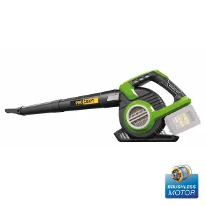 Акумуляторний пилосос-повітродувка Procraft VB20 (без акб та зп) UA