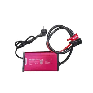 Зарядное устройство для аккумуляторов LiFePO4 24V (29.2V)-30A-876W LogicPower UA