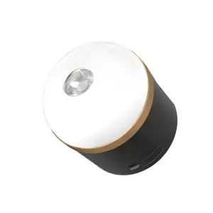Брендований кемпінговий ліхтар EcoFlow Camping Light ( EcoFlow ) (EFS-CLI-B-M1) UA