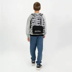 Рюкзак Kite Education teens 949M HP HP26-949M