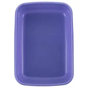 Ланчбокс RH KITE R25-160 420 мл фиолетовый