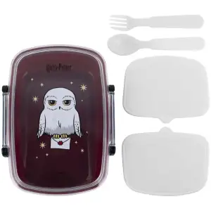 Ланчбокс з наповненням 750 мл, HP KITE HP26-181