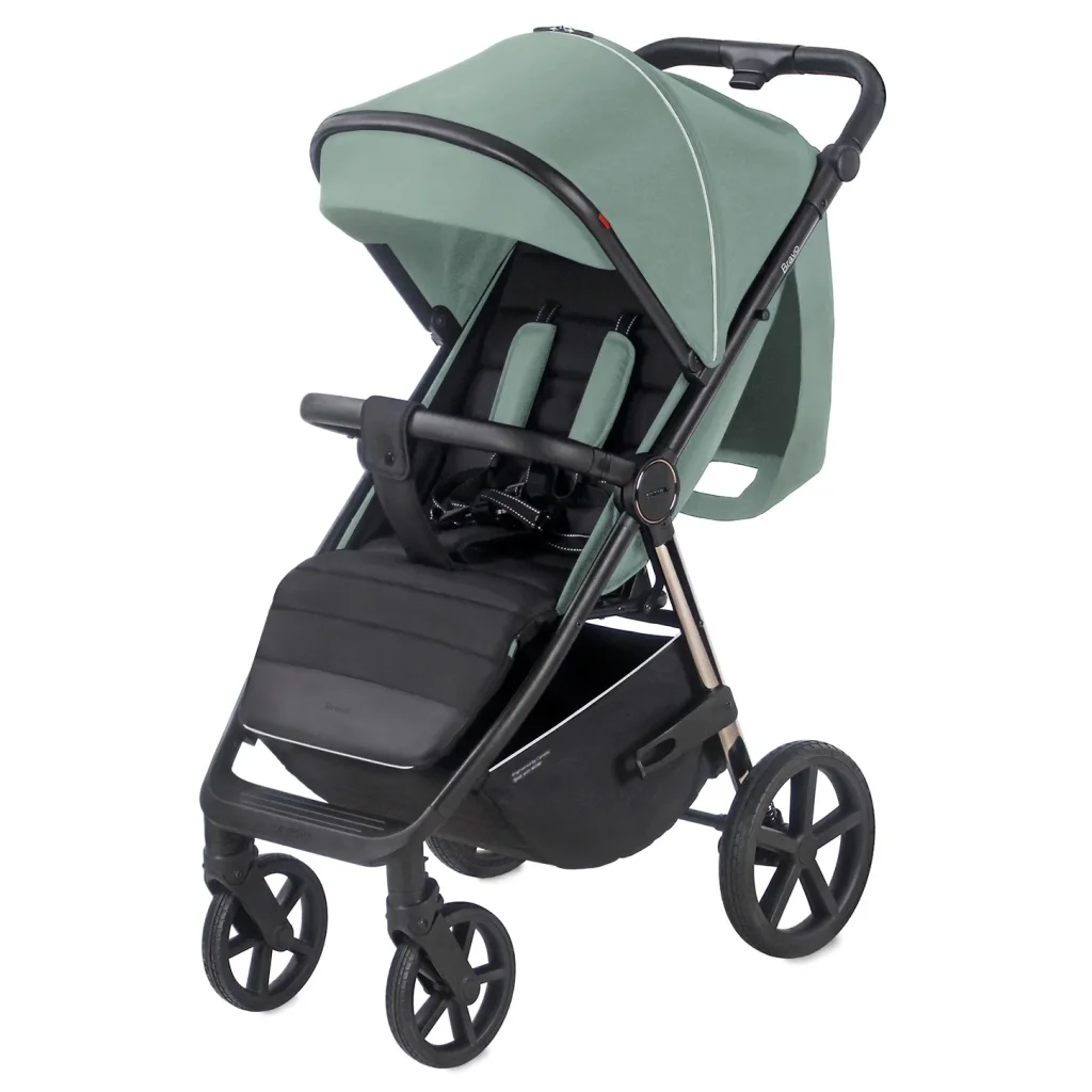 Прогулянкова коляска CARRELLO Bravo CRL-5515 Palm Green
