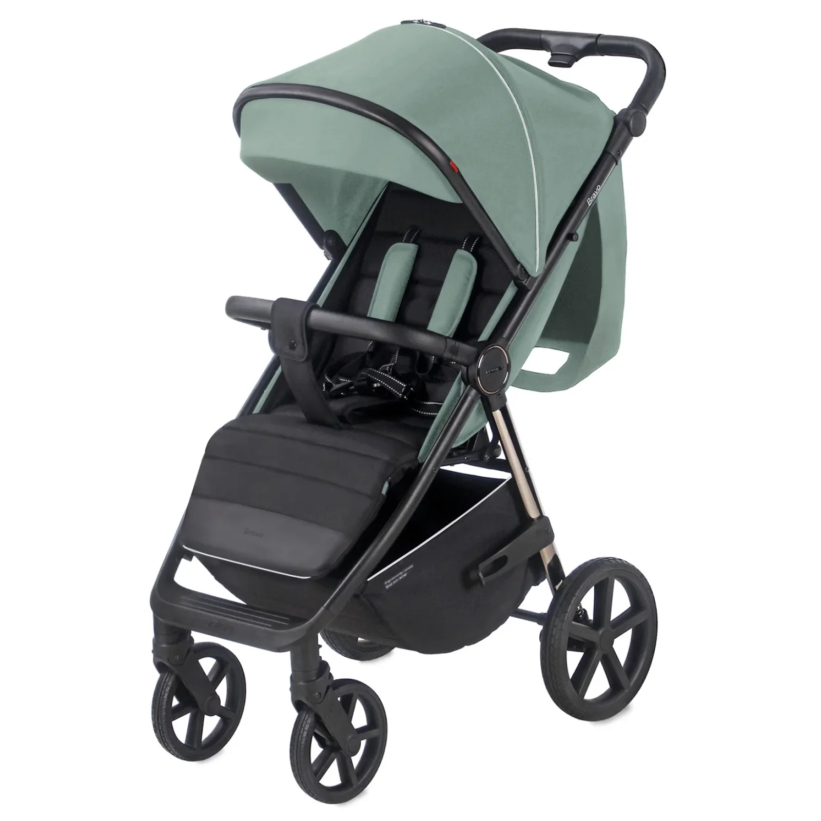 Прогулянкова коляска CARRELLO Bravo CRL-5515 Palm Green