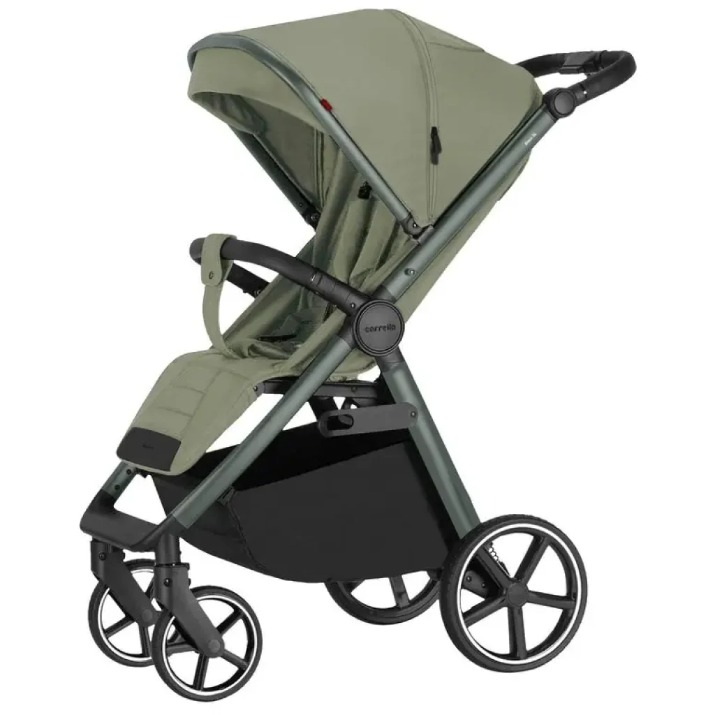 Прогулянкова коляска CARRELLO Bravo SL CRL-5520 Mosaic Green 2025