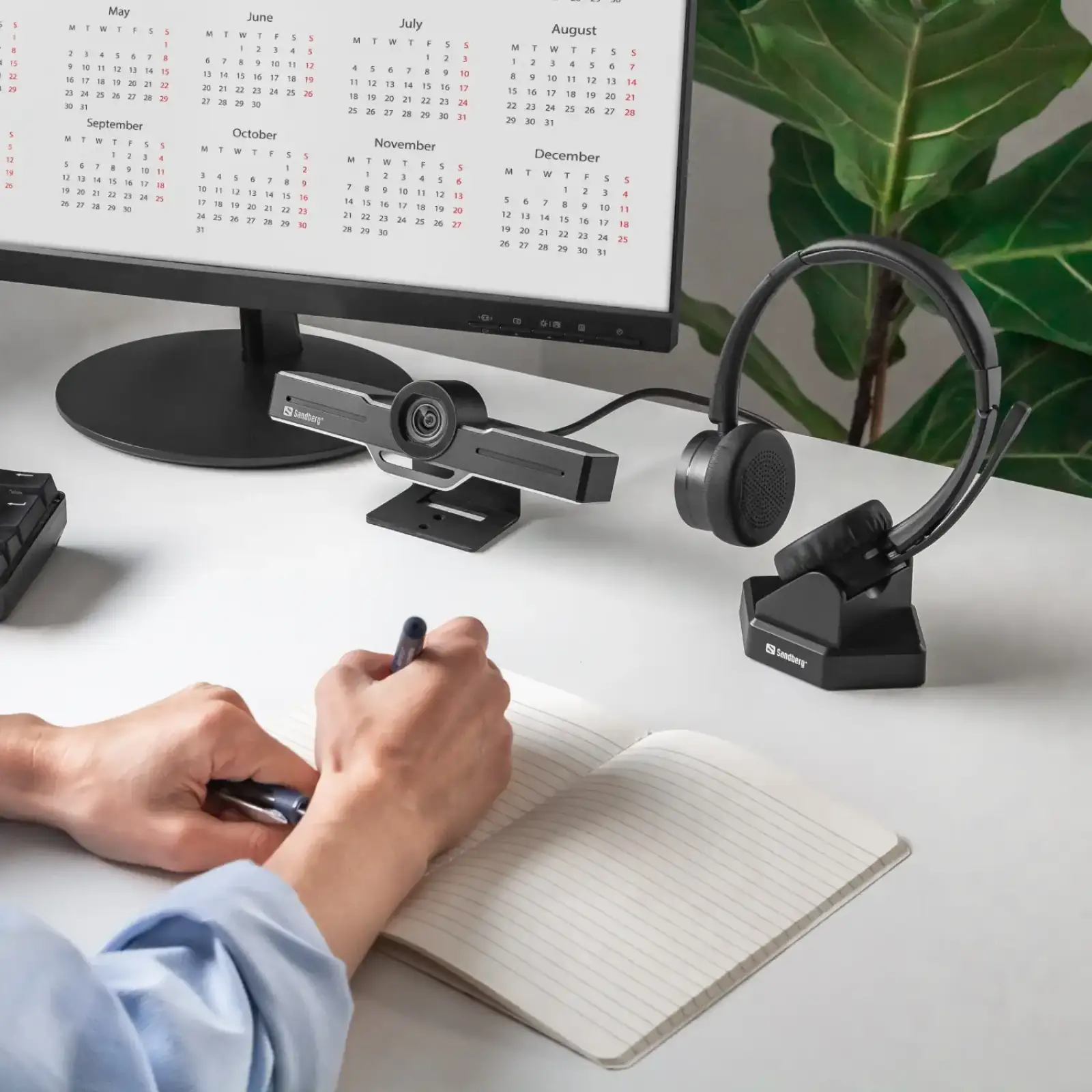 Гарнітура Sandberg Wireless Office Headset Pro+ Black (126-18) UA