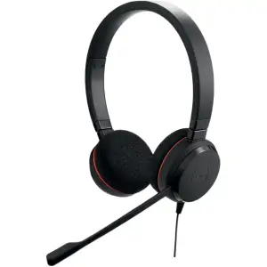 Гарнітура Jabra EVOLVE 20 MS Stereo + USB C/A adapter (4999-823-169) UA