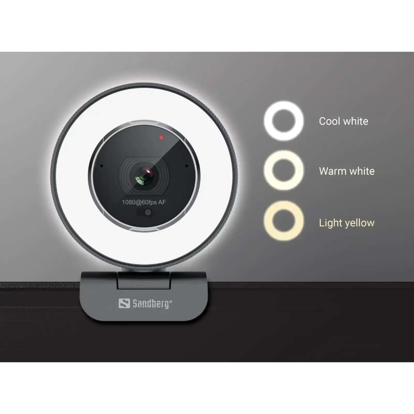 Веб-камера Sandberg Streamer USB Webcam Pro Elite Full HD, Remote control, USB-A/USB-C connection (134-39) UA