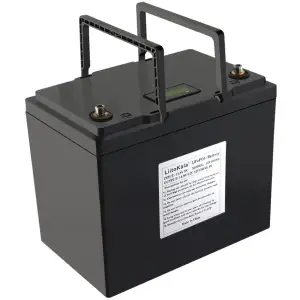 Акумуляторна батарея LiitoKala LiFePO4 12V100Ah, LCD (12V100Ah LiFePO4 LCD) UA