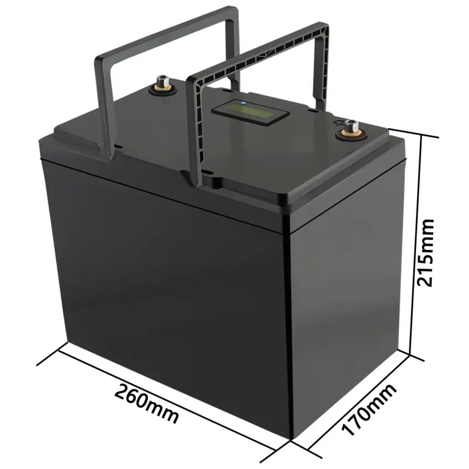 Акумуляторна батарея LiitoKala LiFePO4 12V100Ah, LCD (12V100Ah LiFePO4 LCD) UA