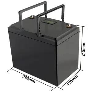 Акумуляторна батарея LiitoKala LiFePO4 12V100Ah, LCD (12V100Ah LiFePO4 LCD) UA