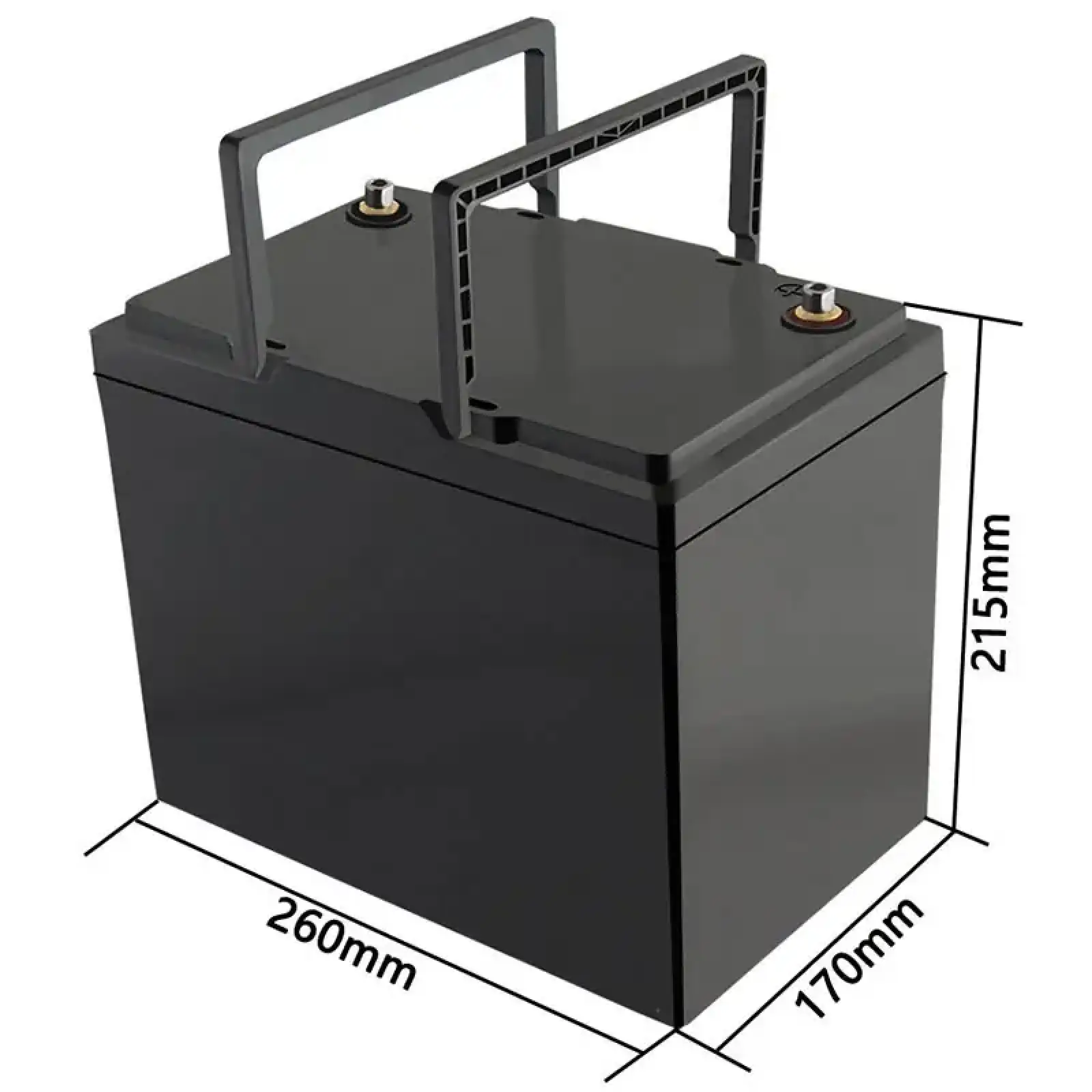 Акумуляторна батарея LiitoKala LiFePO4 12V100Ah (12V100Ah LiFePO4) UA
