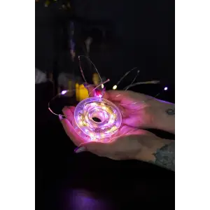 Led гірлянда 32м/300Led (мідний дріт) 24В 8 режимів 220V UA