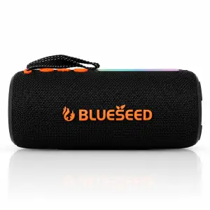 Колонка Bluetooth Blueseed BS-302 black UA