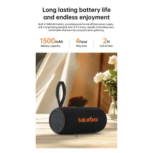 Колонка Bluetooth Blueseed BS-302 black UA