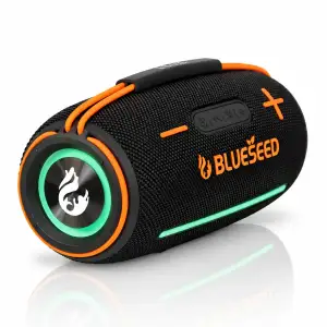 Колонка Bluetooth Blueseed BS-313 black UA