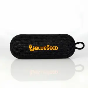 Колонка Bluetooth Blueseed BS-318 black UA