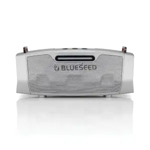 Колонка Bluetooth Blueseed BS-602 silver UA