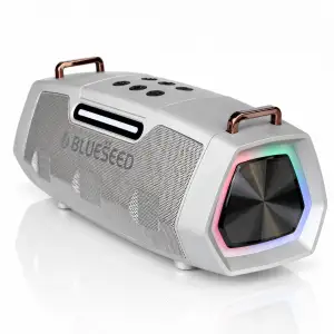 Колонка Bluetooth Blueseed BS-602 silver UA