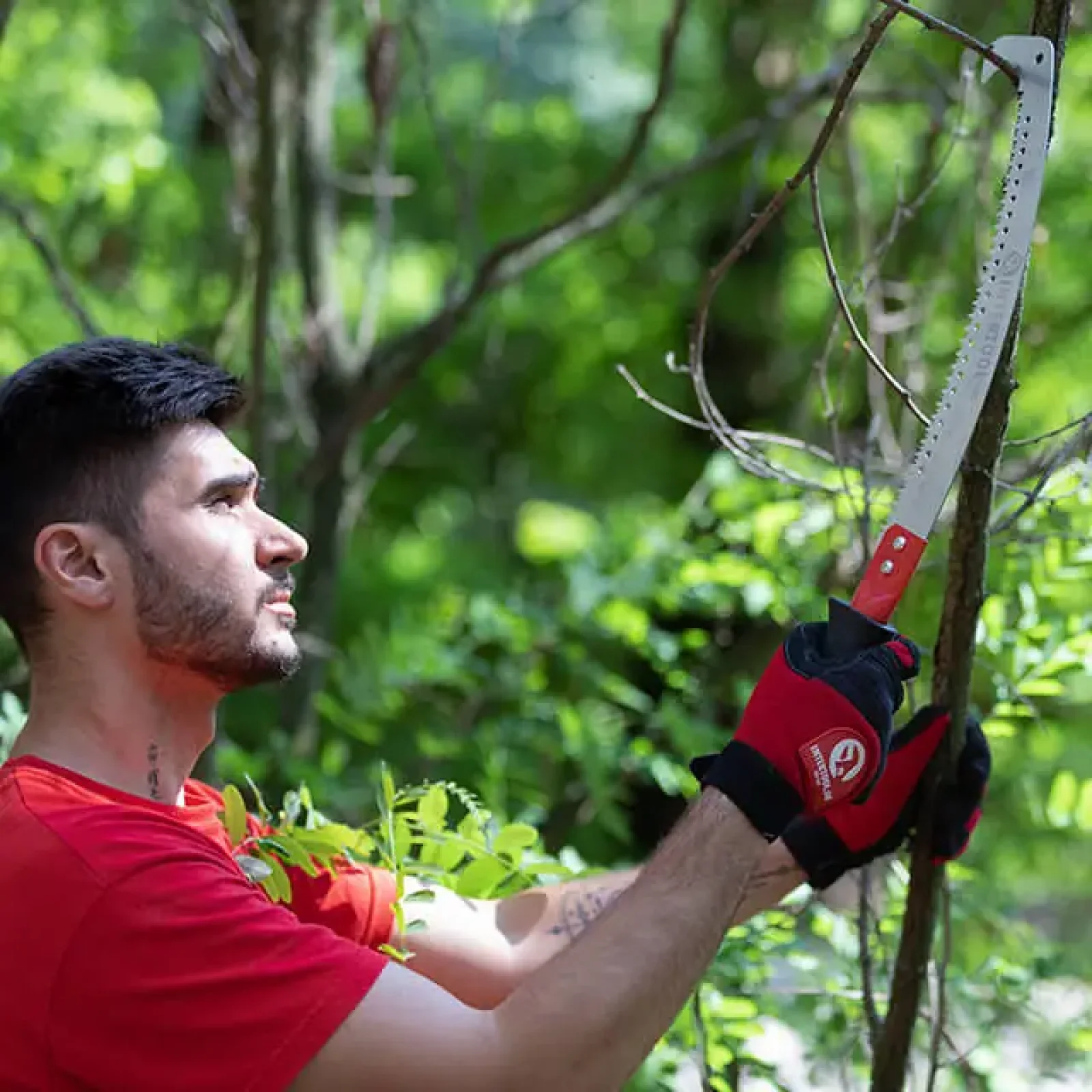 Ножівка садова вигнута, 330 мм, з металевою ручкою, пластиковий чохол INTERTOOL (HT-3146) UA