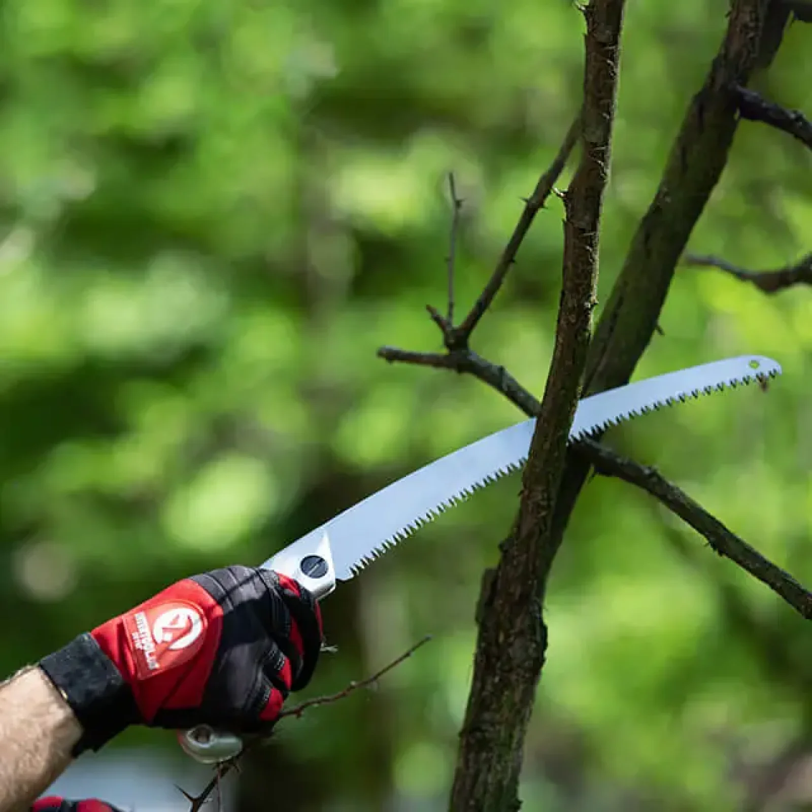 Ножівка садова вигнута, 330 мм, з металевою ручкою, пластиковий чохол INTERTOOL (HT-3146) UA