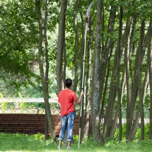 Ножівка садова з гаком, полотно: 350 мм INTERTOOL (HT-3150) UA