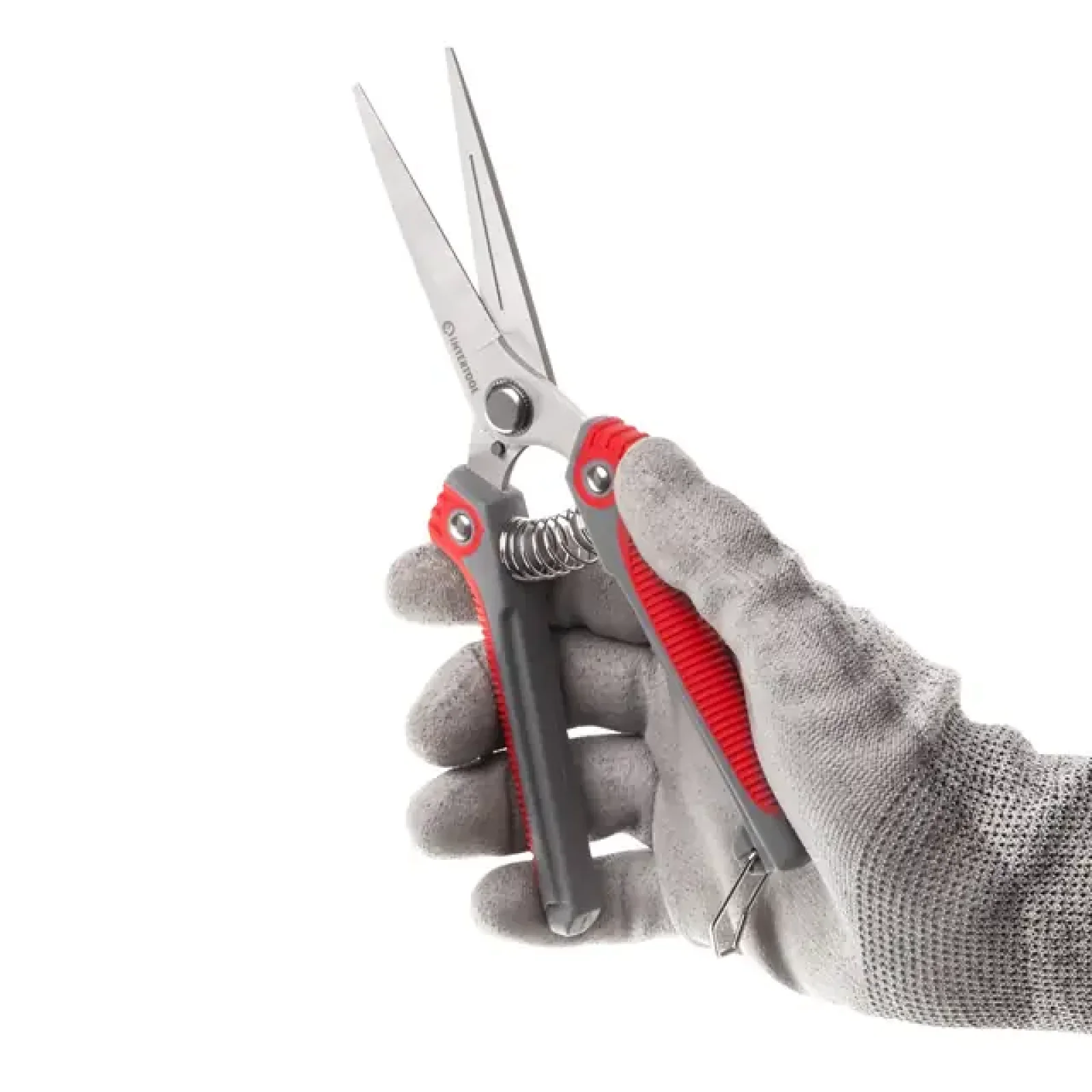 Секатор для винограду, 200 мм, INOX, комбінована рукоятка INTERTOOL (FT-1015) UA