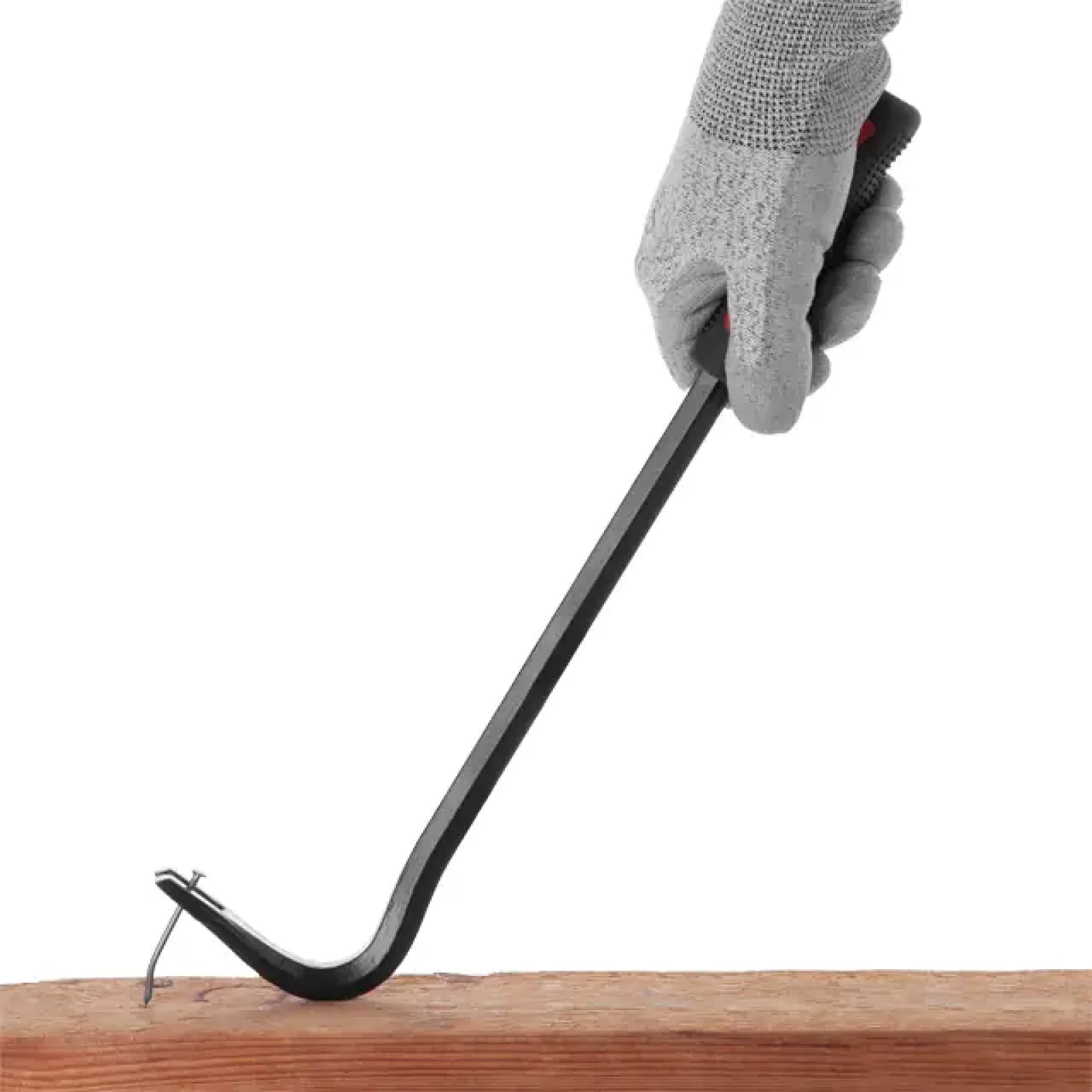 Лапа, 350×16 мм INTERTOOL (UT-4235) UA