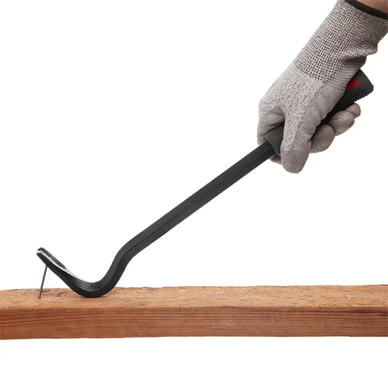 Лапа, 350×16 мм INTERTOOL (UT-4235) UA