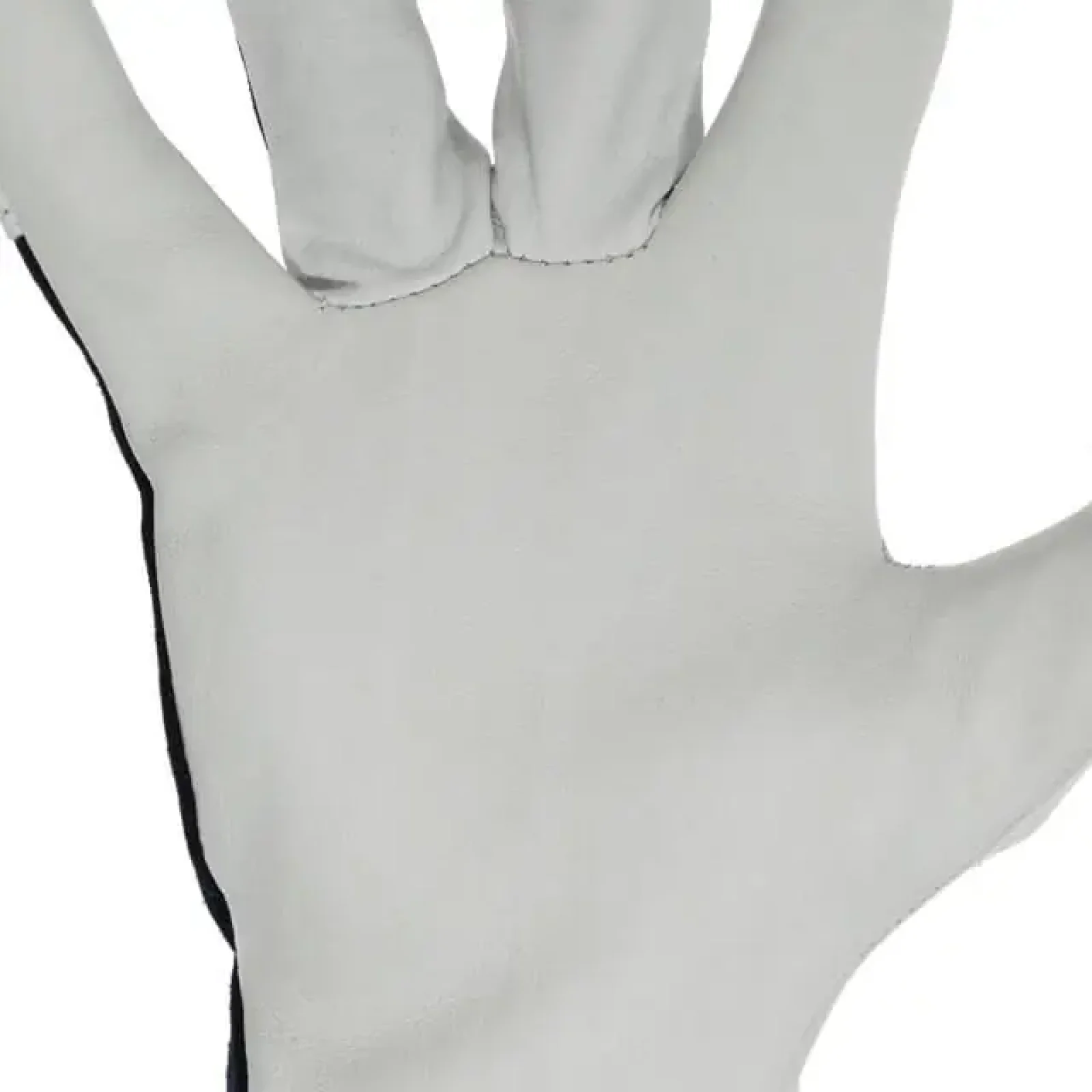 Рукавичка шкіряна, комбінована, 10