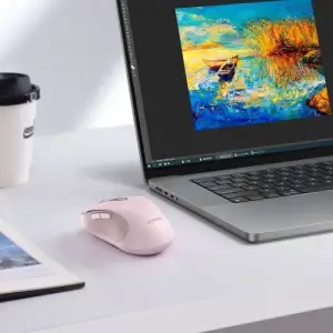 Бездротова Комп'ютерна Миша Baseus F02 Ergonomic Wireless Mouse (without Battery) Black