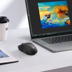 Бездротова Комп'ютерна Миша Baseus F02 Ergonomic Wireless Mouse (without Battery) White