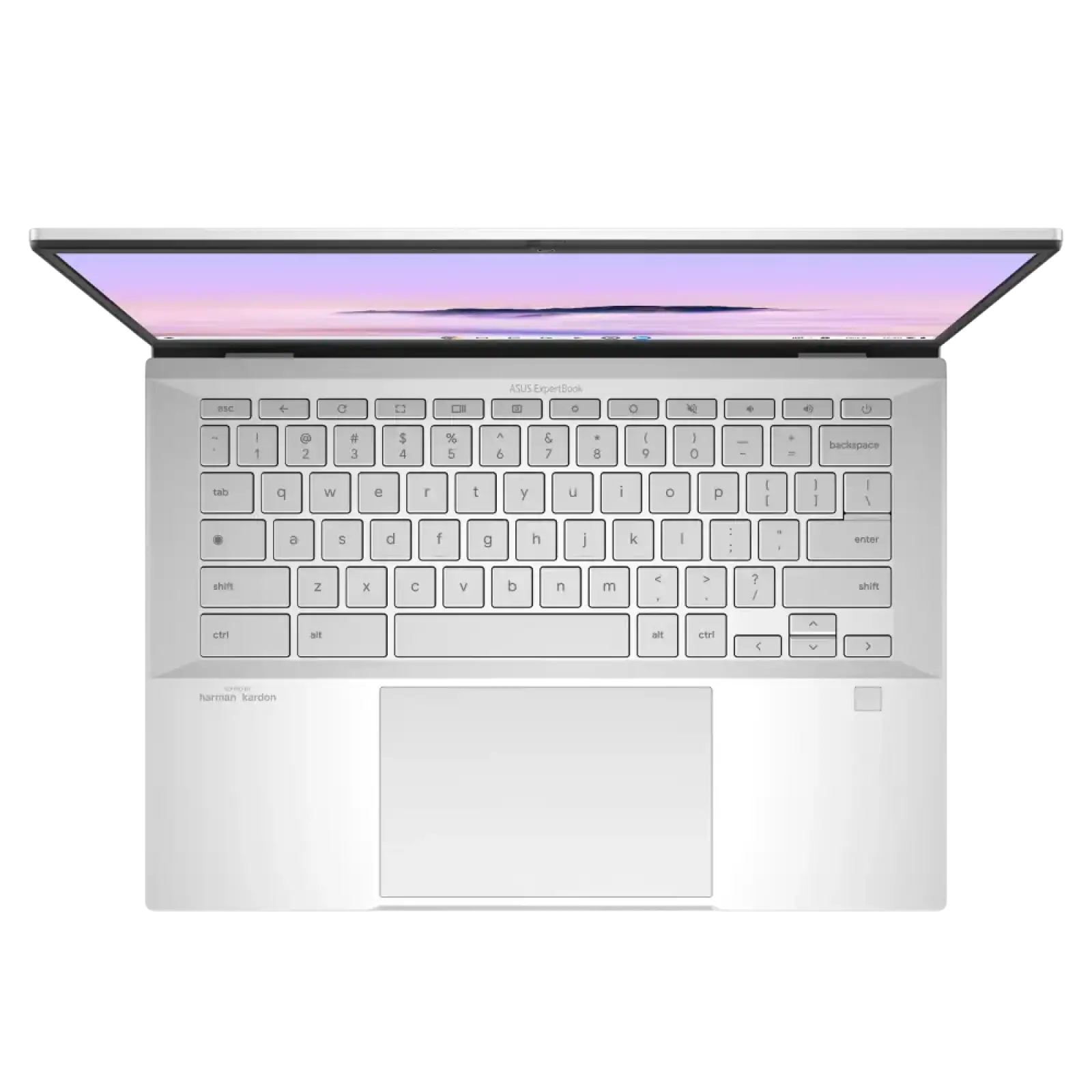 Ноутбук ASUS ExpertBook CX54 Chromebook Plus Fog Silver (90NX0791-M00T90) UA