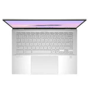 Ноутбук ASUS ExpertBook CX54 Chromebook Plus Fog Silver (90NX0791-M00T90) UA