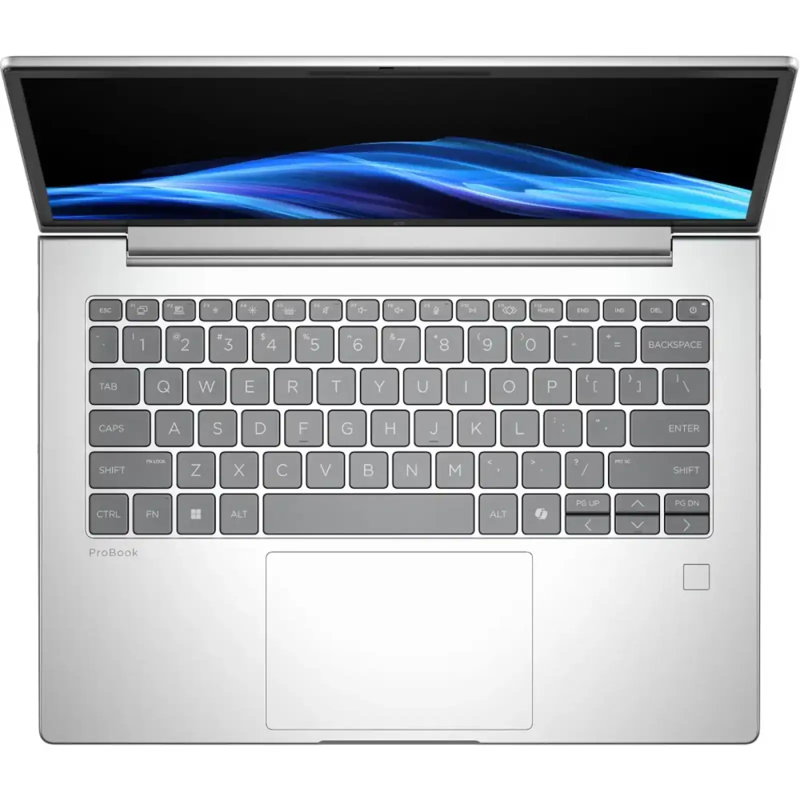 Ноутбук HP ProBook 4 G1i 14 (D0VG6ET) UA