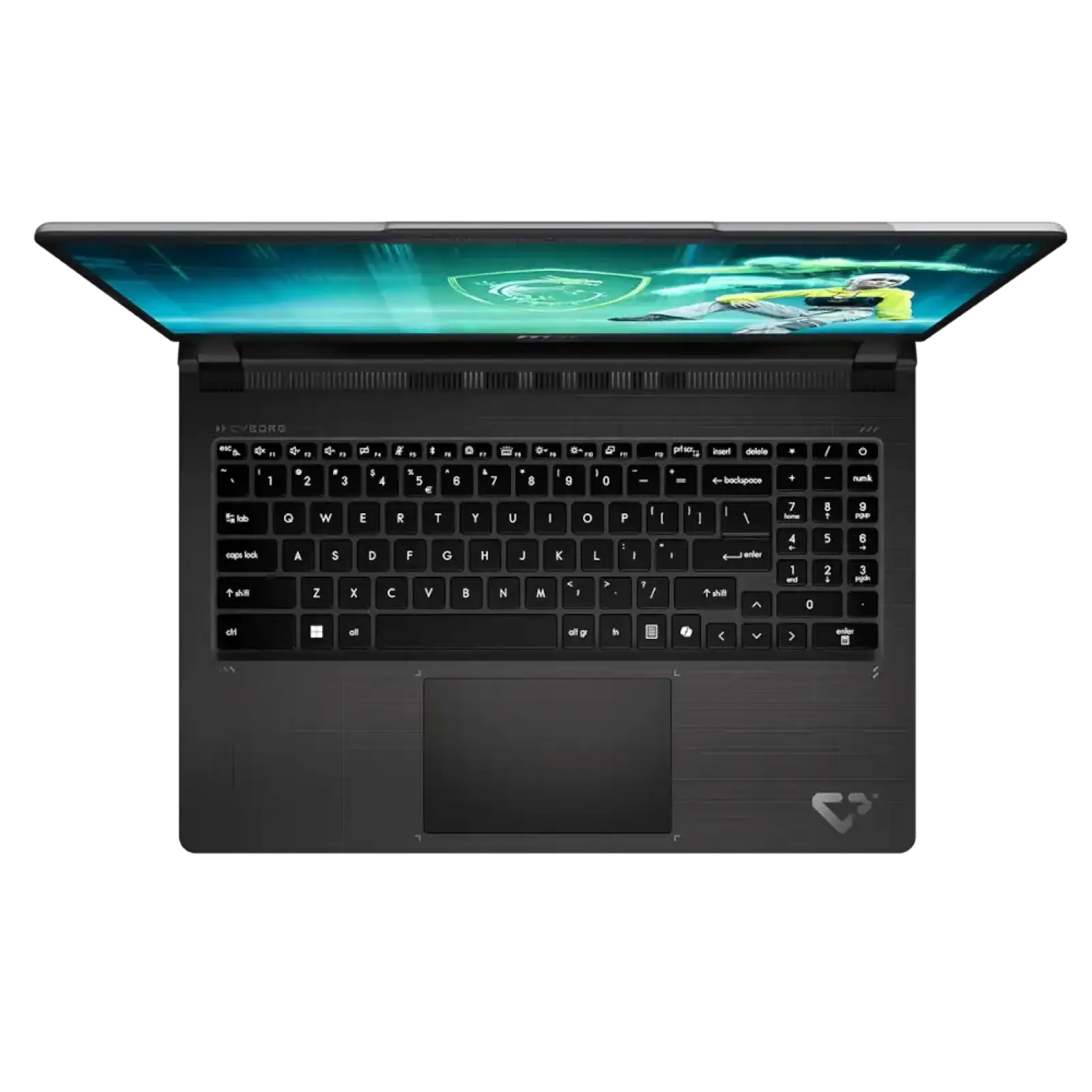 Ноутбук MSI Cyborg 15 Max C2WE-243XUA (9S7-15T111-243) UA
