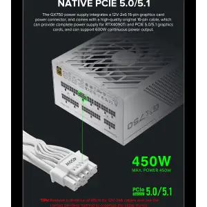 Блок питания GameMax GX-750 PRO WH (ATX3.1PCIe5.1) UA