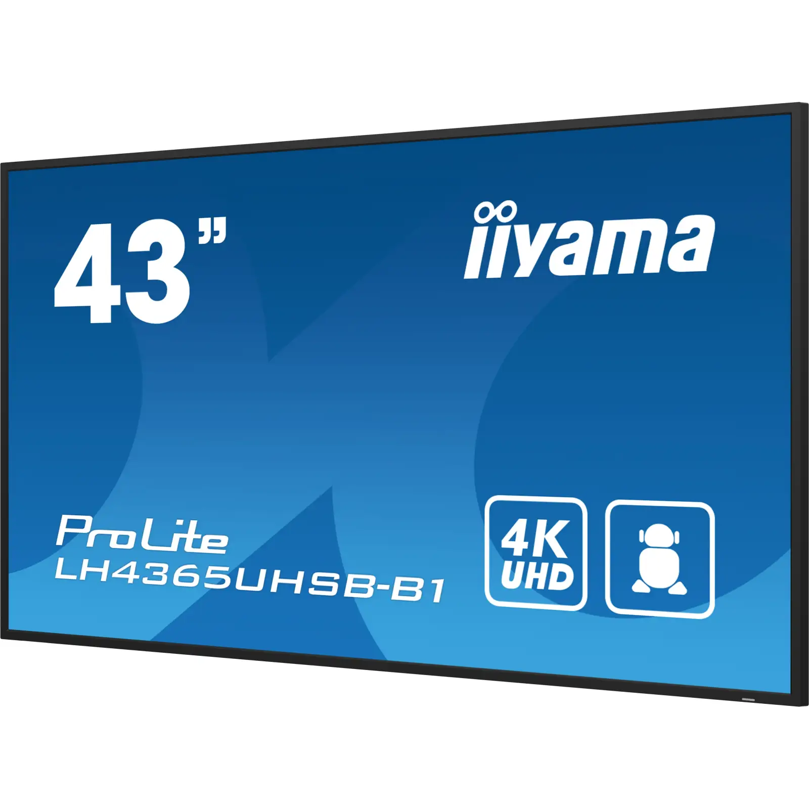 Інформаційний дисплей IIYAMA 42.5