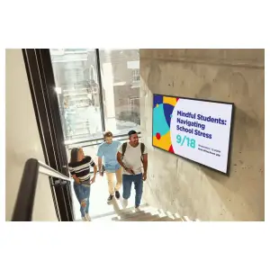 Дисплей VIEWSONIC 65