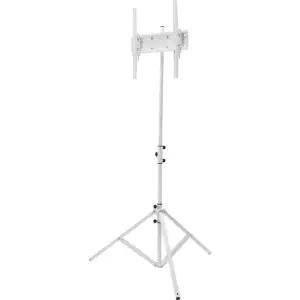 Презентаційна стійка підлогова T12 White, 23