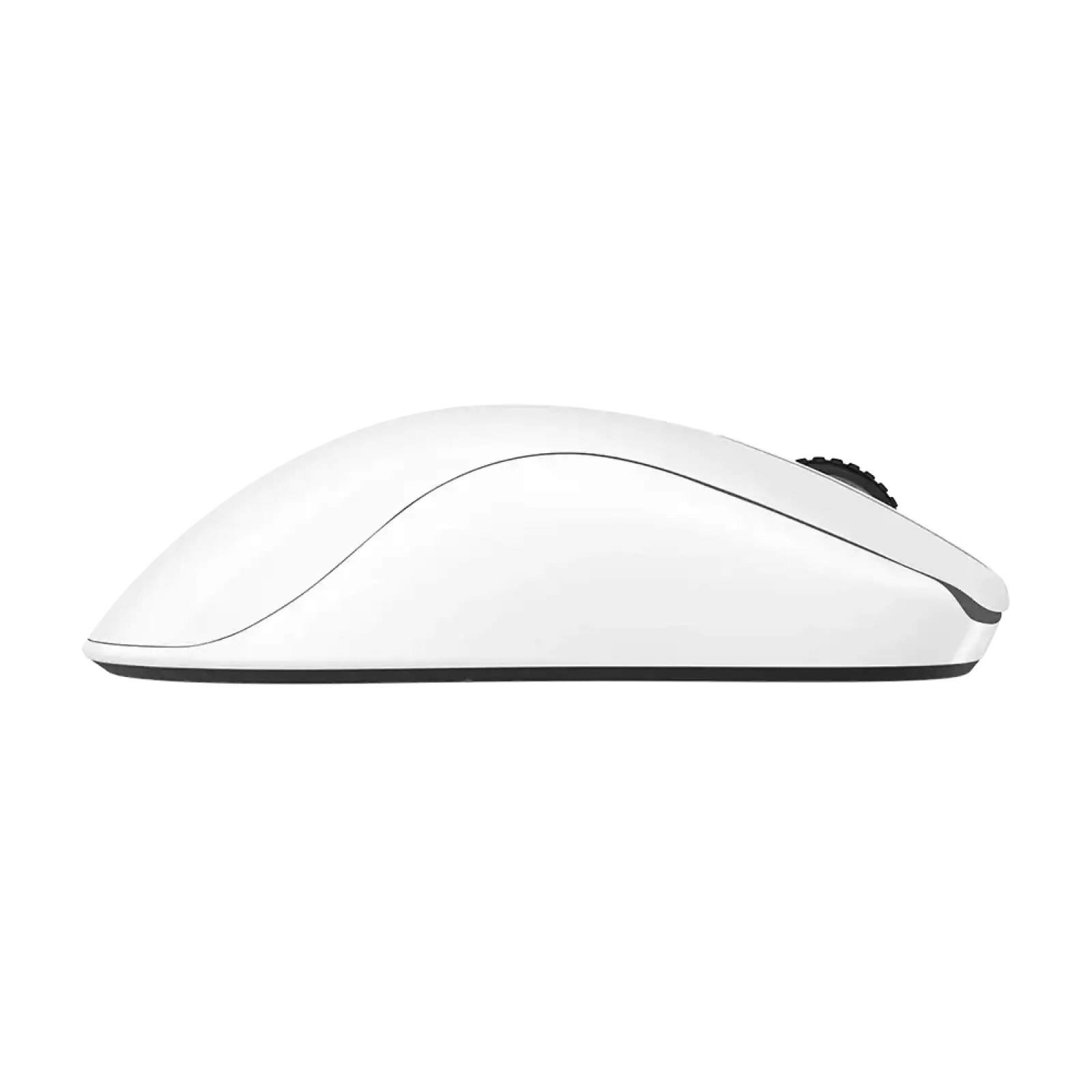 Миша Zowie FK2-DW Glossy Edition (9H.N4MBE.A3E) UA